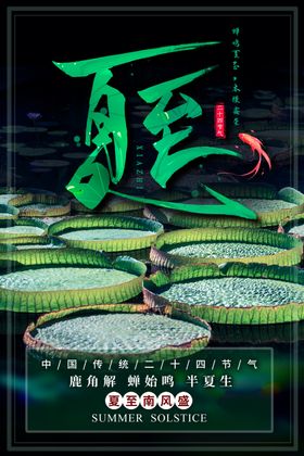 夏至