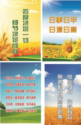 管理文化