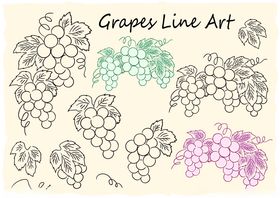 葡萄线条艺术插画
