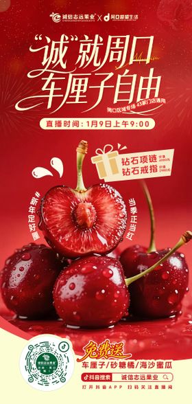 水果车厘子海报