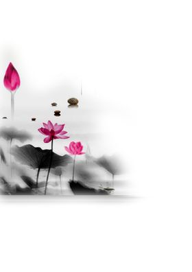 中国风荷叶荷花绘画