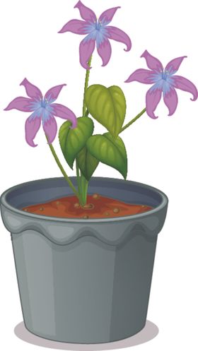 盆景盆栽绿色植物绿化AI矢量图