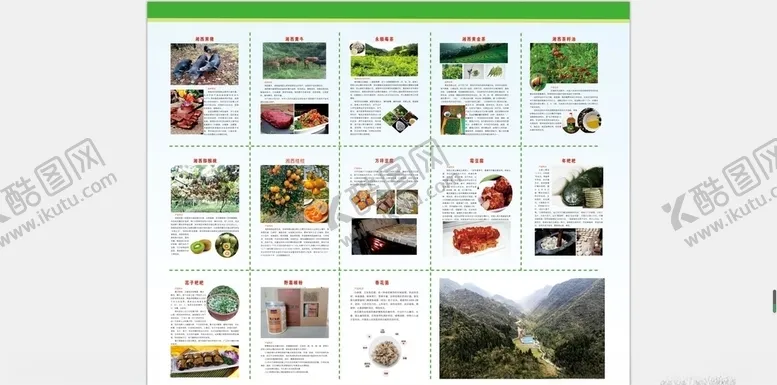 编号：24871505060450428828【酷图网】源文件下载-农产品宣传手册