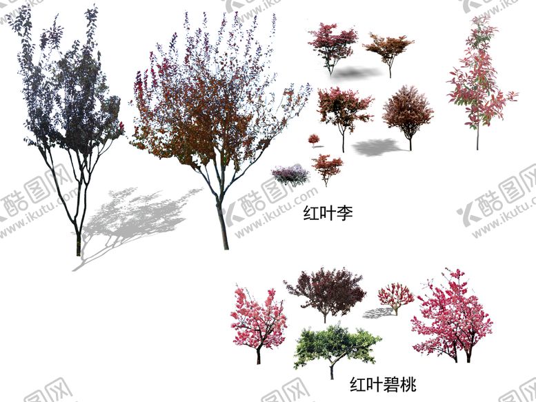 编号：73125809200559298260【酷图网】源文件下载-树