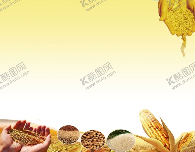 编号：64915509290604083595【酷图网】源文件下载-粮食海报