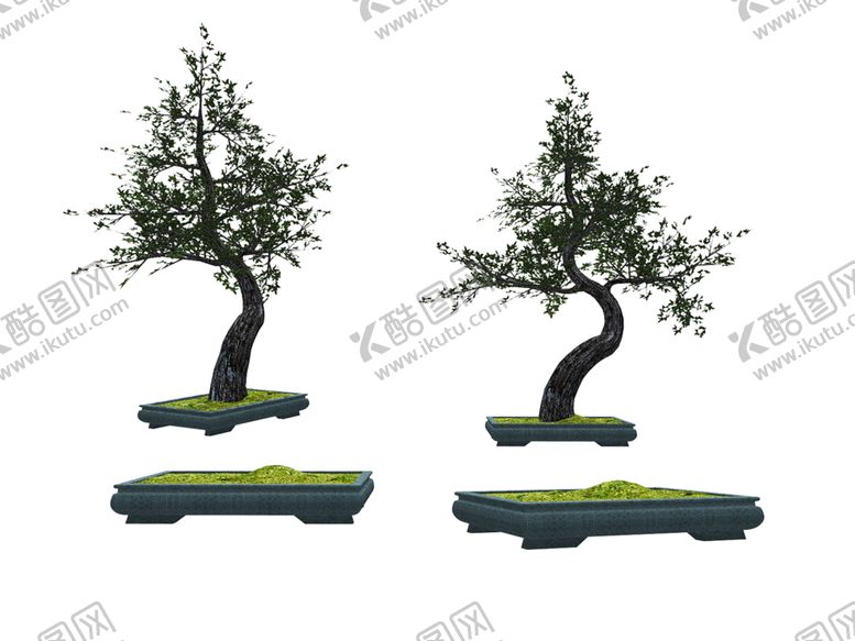 编号：72124307011700351459【酷图网】源文件下载-植物