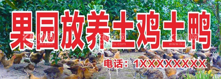 编号：84127210262341443935【酷图网】源文件下载-果园放养土鸡土鸭招牌