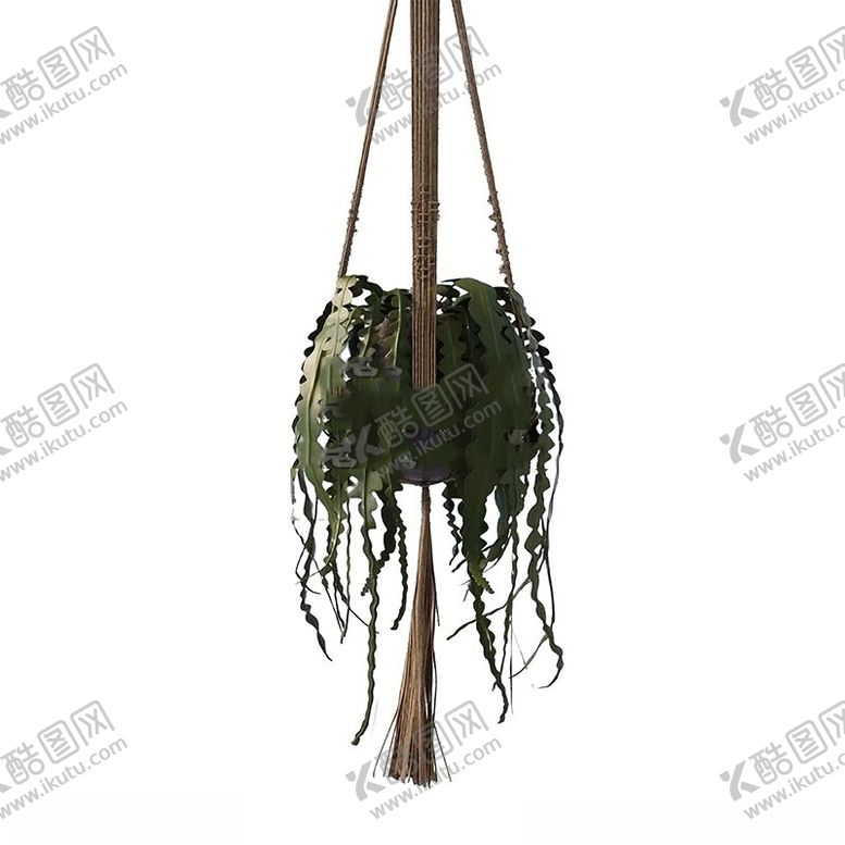 编号：40659401122304513230【酷图网】源文件下载-C4D模型绿色植物