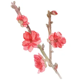 梅花桃花PNG工艺插画传统文化广告设计