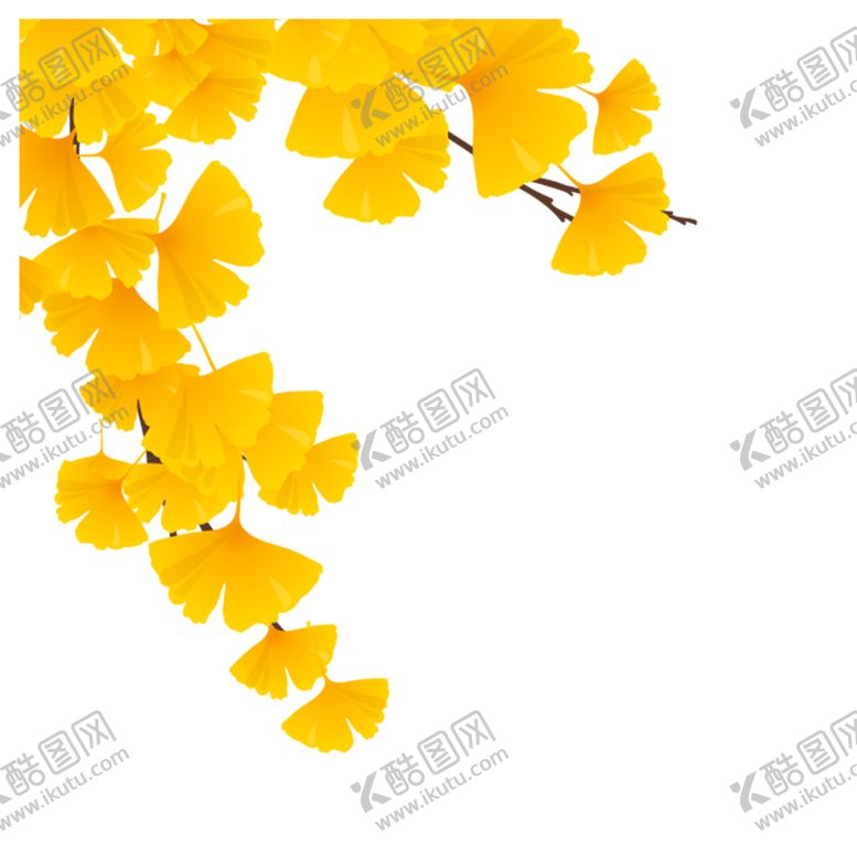 编号：17985609220244379072【酷图网】源文件下载-银杏叶