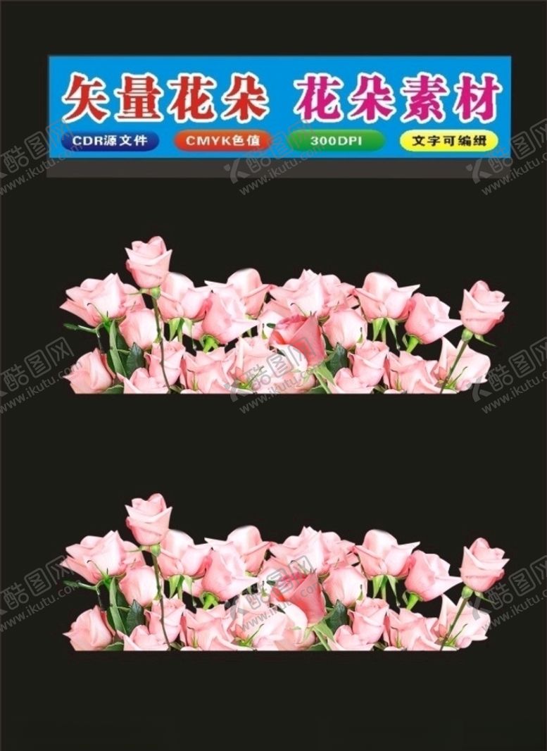 编号：11404909141845581265【酷图网】源文件下载-花玫瑰花