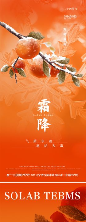 二十四节气霜降海报