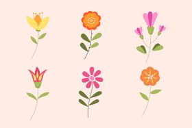 各种花朵手绘插图植物插画鲜
