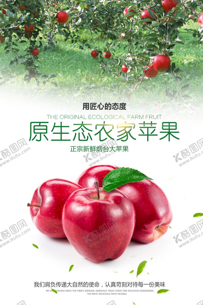 编号：45741711020927499413【酷图网】源文件下载-原生态农家苹果展示