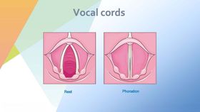 声带