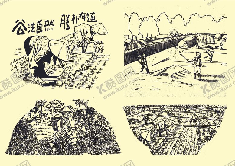编号：57255807080243007623【酷图网】源文件下载-稻谷