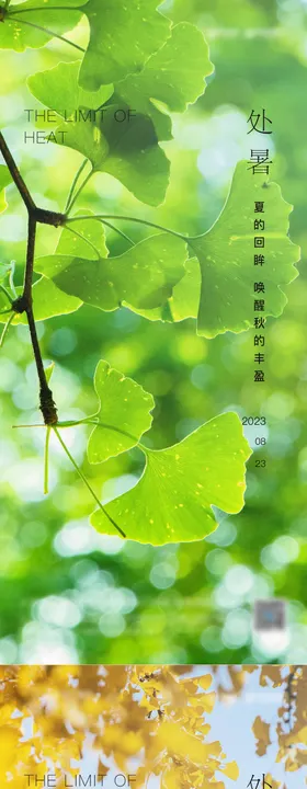 处暑节气海报二十四银杏地产