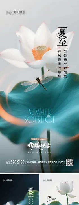 2025夏至节日节气