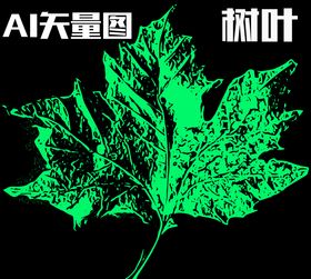 树叶ai矢量图