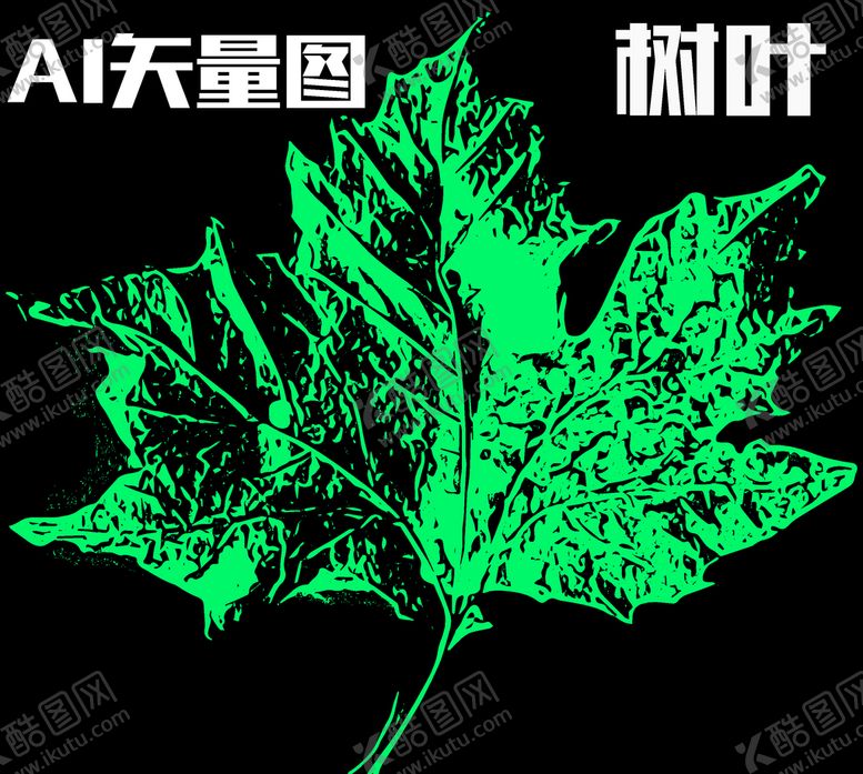 编号：53589810221318166474【酷图网】源文件下载-树叶ai矢量图