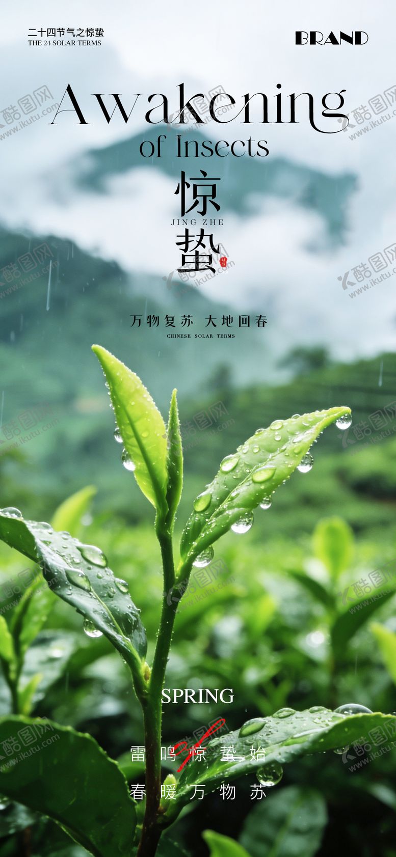 编号：73007003020205466726【酷图网】源文件下载-惊蛰节气海报