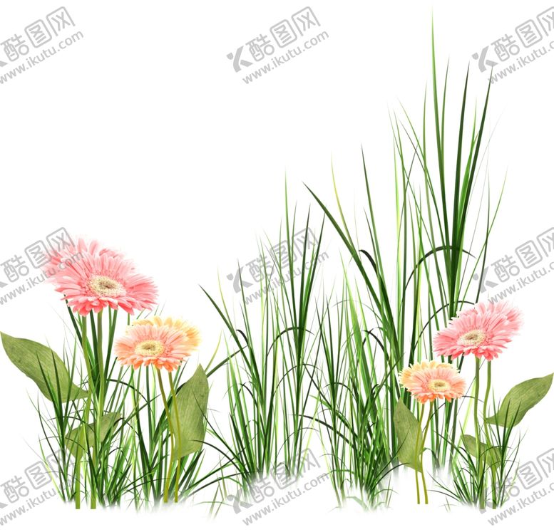 编号：86426810111954196429【酷图网】源文件下载-花草