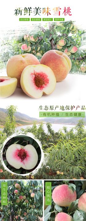 桃子详情