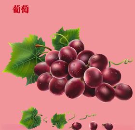 葡萄