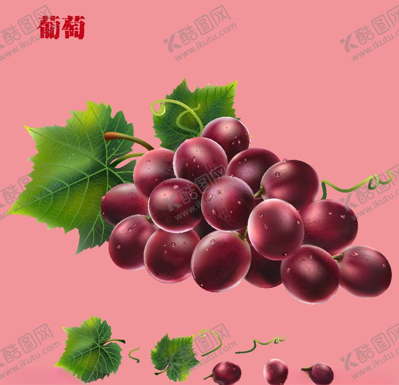 编号：17050610300158124348【酷图网】源文件下载-葡萄