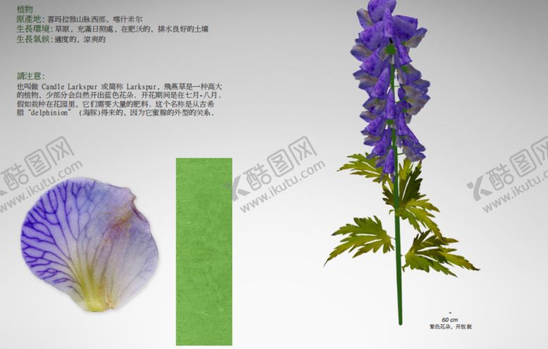 编号：47711101131911391264【酷图网】源文件下载- C4D模型 花朵 