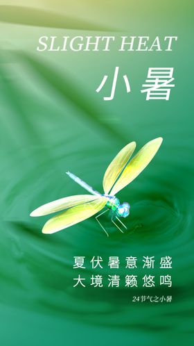 小暑节气宣传海报展板
