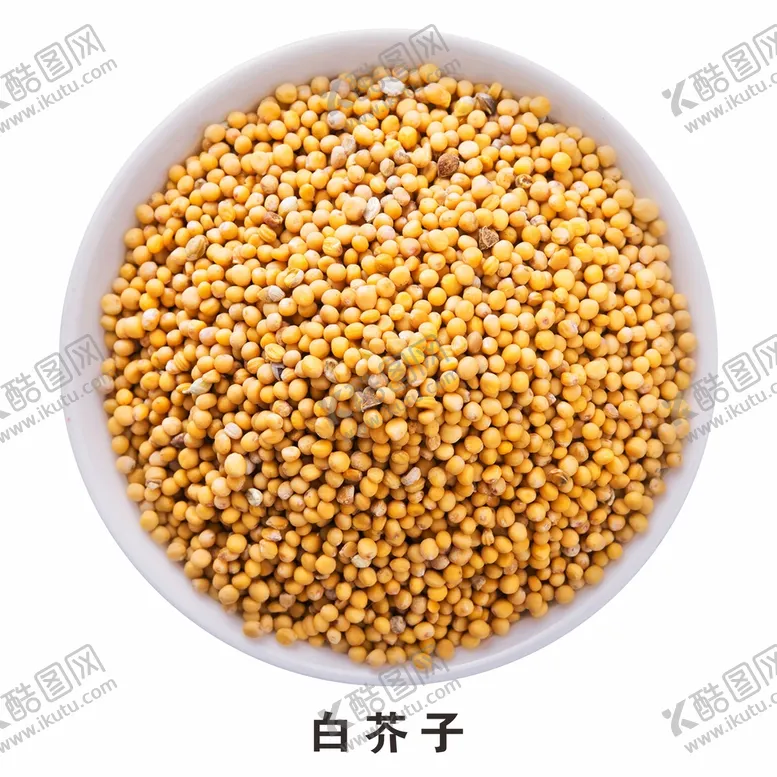 编号：24301510101704557409【酷图网】源文件下载-白芥子免抠食材