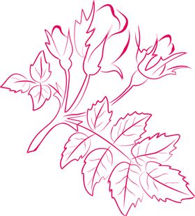 花素材