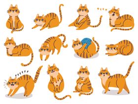 可爱猫咪多样姿态插画