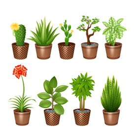 盆栽绿植插图景