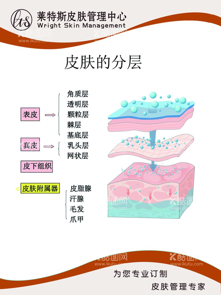 编号：89563709242017300493【酷图网】源文件下载-美容院展板