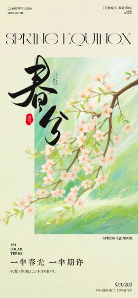 春分春日节气花卉插画海报