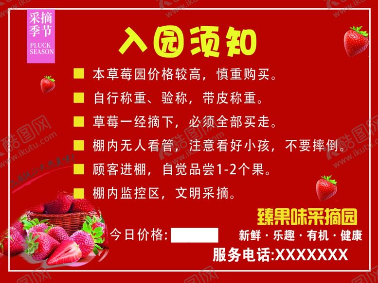 编号：56162602261726381154【酷图网】源文件下载-草莓采摘