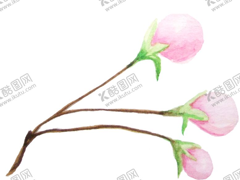 编号：28138106241116473161【酷图网】源文件下载-彩绘枝叶