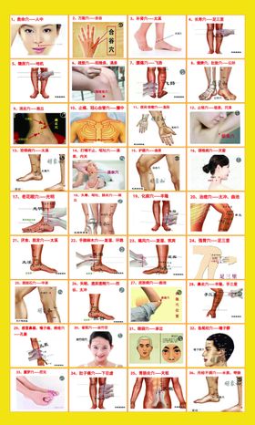 养生穴位图解