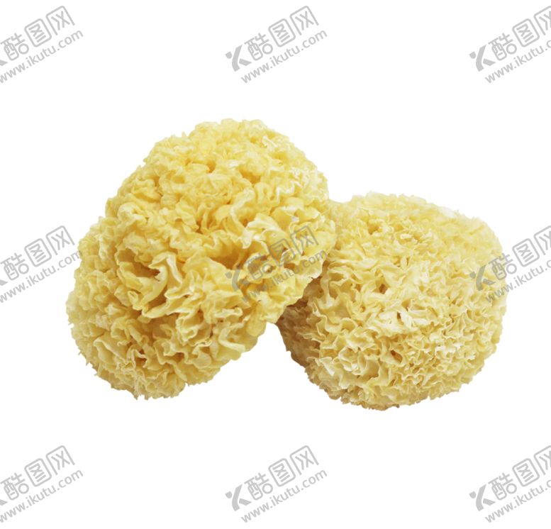 编号：95953709270254045799【酷图网】源文件下载-银耳