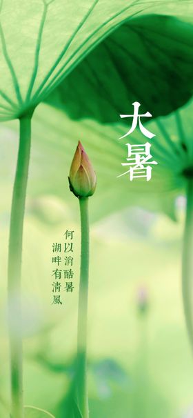 大暑微信24节气图片夏天海报