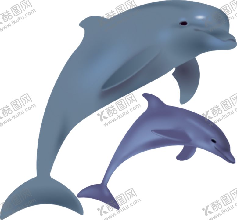 编号：91375305130447024464【酷图网】源文件下载-海豚