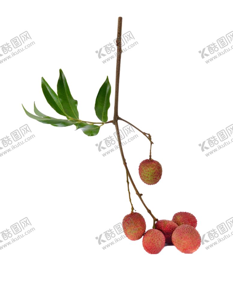 编号：57840110010338242171【酷图网】源文件下载-水果