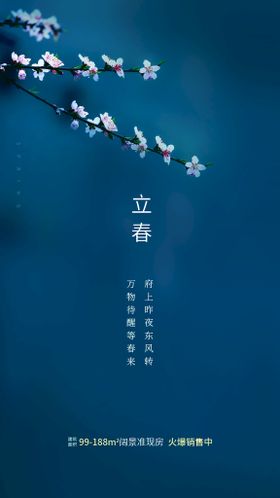 地产立春节气海报