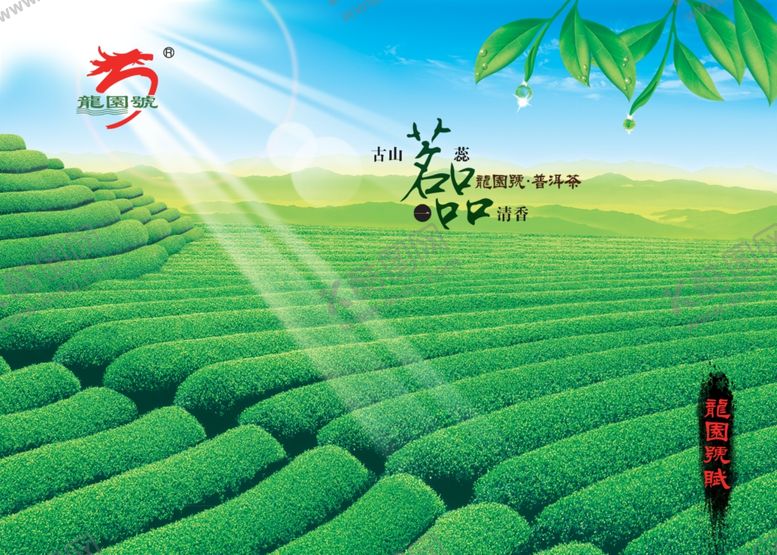 编号：27829406242050449445【酷图网】源文件下载-绿茶