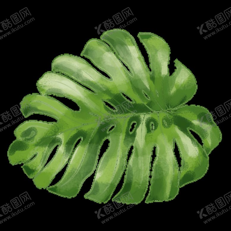 编号：99311510180643028159【酷图网】源文件下载-芭蕉叶边框