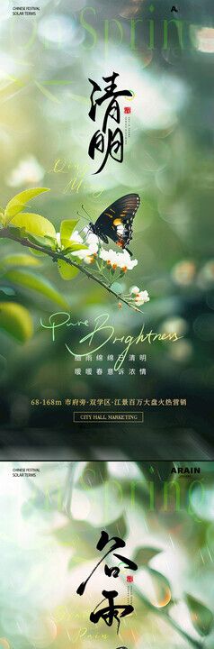 清明谷雨蝴蝶节气海报