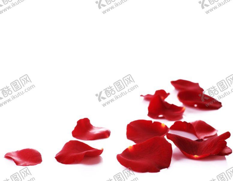 编号：61308609171737158647【酷图网】源文件下载-花瓣