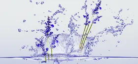 水花素材